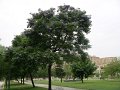 Spanje 2010 128
